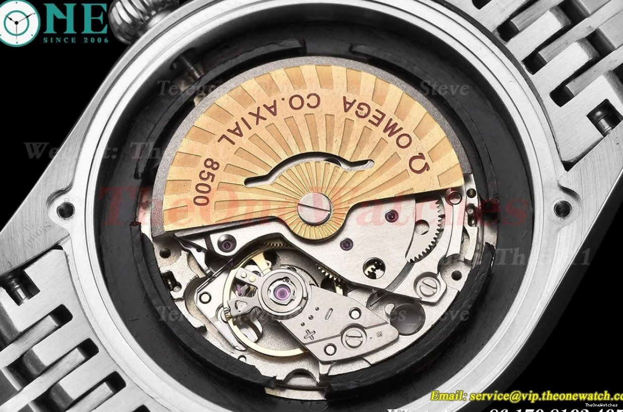 Grey 41mm SS MY8215 Seamaster GDF SS Dial 0107